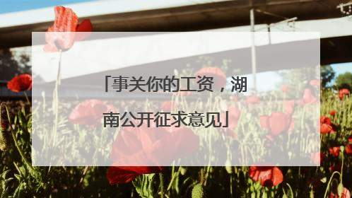 事关你的工资，湖南公开征求意见