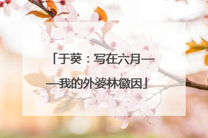 于葵：写在六月——我的外婆林徽因