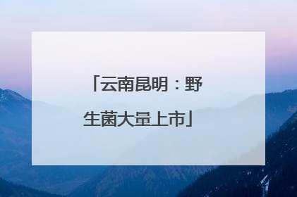 云南昆明：野生菌大量上市