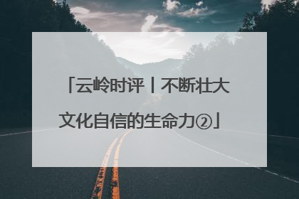 云岭时评丨不断壮大文化自信的生命力②
