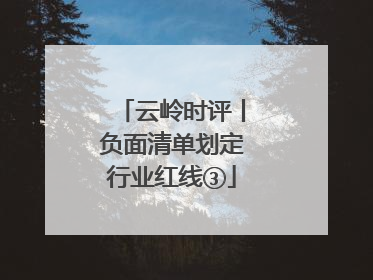 云岭时评丨负面清单划定行业红线③