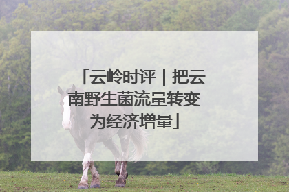 云岭时评｜把云南野生菌流量转变为经济增量