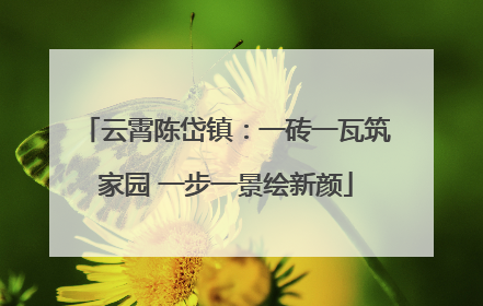 云霄陈岱镇：一砖一瓦筑家园 一步一景绘新颜