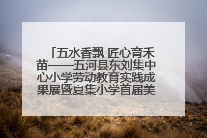 五水香飘 匠心育禾苗——五河县东刘集中心小学劳动教育实践成果展暨夏集小学首届美食节盛大举行