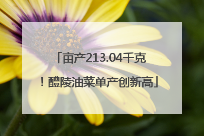 亩产213.04千克！醴陵油菜单产创新高