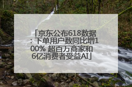 京东公布618数据：下单用户数同比增100% 超百万商家和6亿消费者受益AI