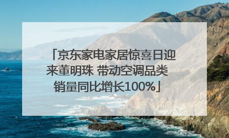 京东家电家居惊喜日迎来董明珠 带动空调品类销量同比增长100%