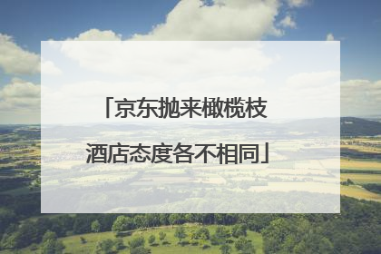 京东抛来橄榄枝 酒店态度各不相同