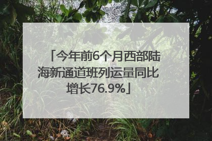 今年前6个月西部陆海新通道班列运量同比增长76.9%