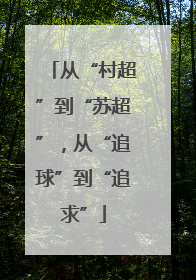 从“村超”到“苏超”，从“追球”到“追求”