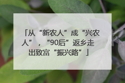 从“新农人”成“兴农人”，“90后”返乡走出致富“振兴路”