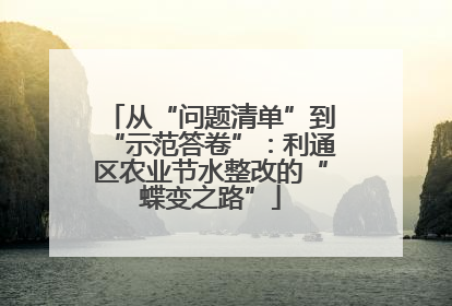 从“问题清单”到“示范答卷”：利通区农业节水整改的“蝶变之路”
