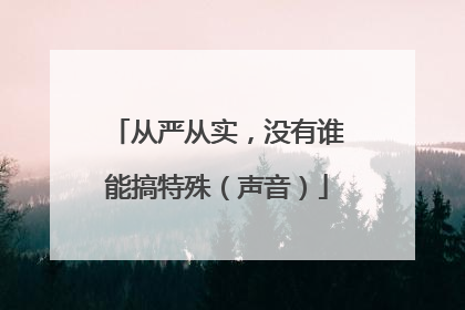 从严从实，没有谁能搞特殊（声音）