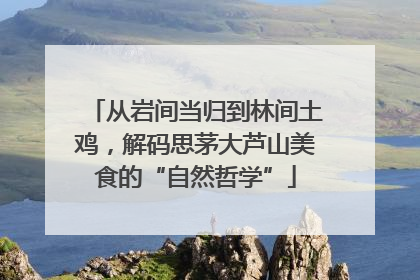 从岩间当归到林间土鸡，解码思茅大芦山美食的“自然哲学”
