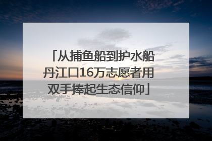 从捕鱼船到护水船 丹江口16万志愿者用双手捧起生态信仰