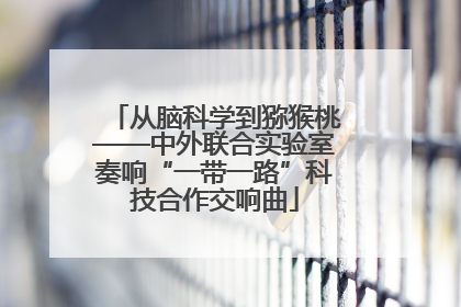 从脑科学到猕猴桃——中外联合实验室奏响“一带一路”科技合作交响曲