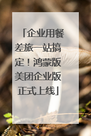 企业用餐差旅一站搞定！鸿蒙版美团企业版正式上线