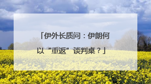 伊外长质问：伊朗何以“重返”谈判桌？