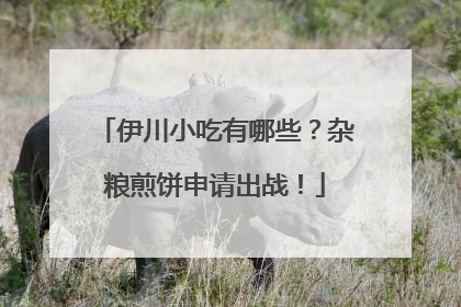 伊川小吃有哪些？杂粮煎饼申请出战！