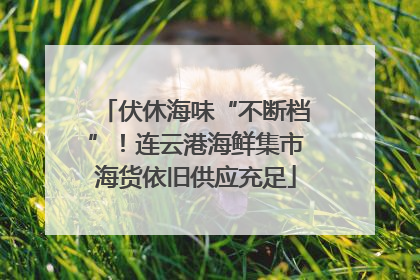 伏休海味“不断档”！连云港海鲜集市海货依旧供应充足