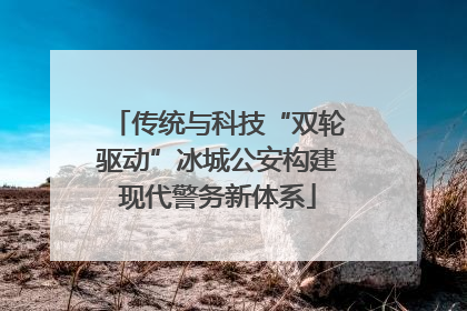 传统与科技“双轮驱动”冰城公安构建现代警务新体系