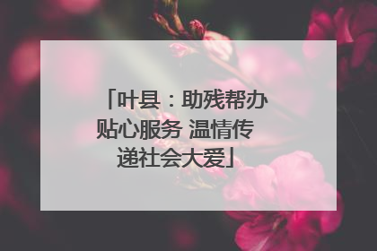 叶县：助残帮办贴心服务 温情传递社会大爱