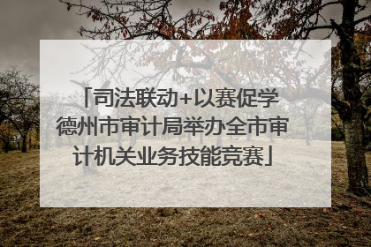 司法联动+以赛促学 德州市审计局举办全市审计机关业务技能竞赛