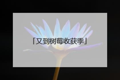 又到树莓收获季