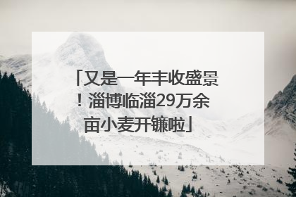 又是一年丰收盛景！淄博临淄29万余亩小麦开镰啦