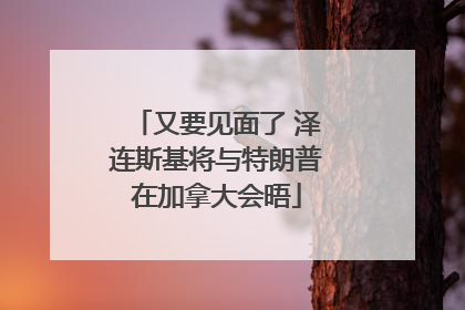 又要见面了 泽连斯基将与特朗普在加拿大会晤