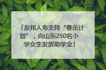 友邦人寿支持“春蕾计划”，向山东250名小学女生发放助学金