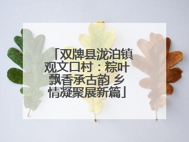 双牌县泷泊镇观文口村：粽叶飘香承古韵 乡情凝聚展新篇