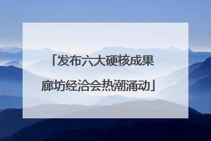 发布六大硬核成果 廊坊经洽会热潮涌动