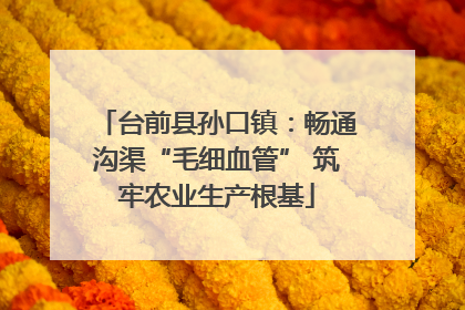 台前县孙口镇：畅通沟渠“毛细血管” 筑牢农业生产根基