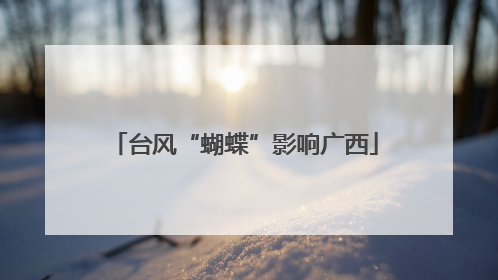 台风“蝴蝶”影响广西
