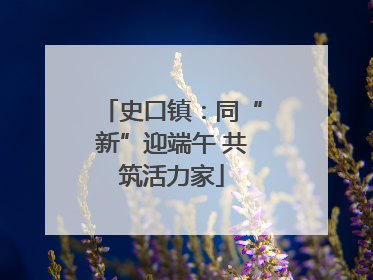 史口镇：同“新”迎端午 共筑活力家