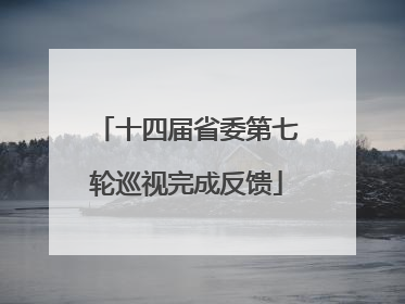 十四届省委第七轮巡视完成反馈