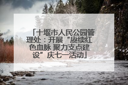 十堰市人民公园管理处：开展“赓续红色血脉 聚力支点建设”庆七一活动