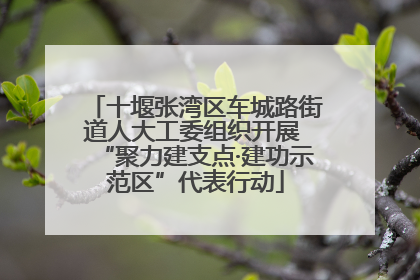 十堰张湾区车城路街道人大工委组织开展 “聚力建支点·建功示范区”代表行动
