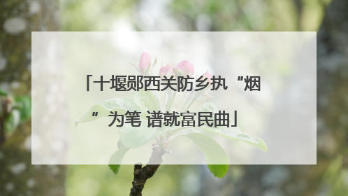 十堰郧西关防乡执“烟”为笔 谱就富民曲
