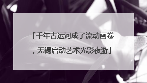 千年古运河成了流动画卷，无锡启动艺术光影夜游