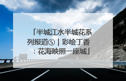 半城江水半城花系列报道⑤｜彩绘丁香：花海映照一座城