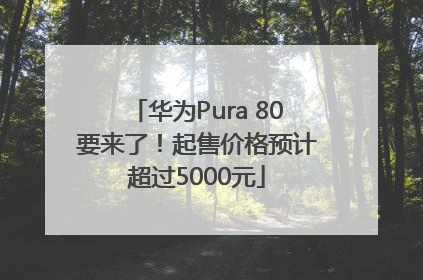 华为Pura 80要来了！起售价格预计超过5000元