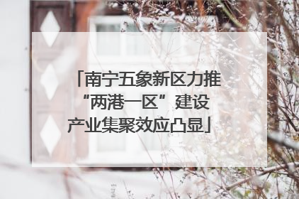 南宁五象新区力推“两港一区”建设 产业集聚效应凸显