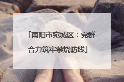南阳市宛城区：党群合力筑牢禁烧防线
