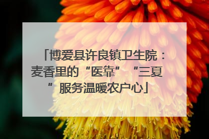 博爱县许良镇卫生院：麦香里的“医靠”“三夏”服务温暖农户心