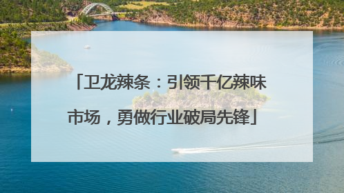卫龙辣条：引领千亿辣味市场，勇做行业破局先锋