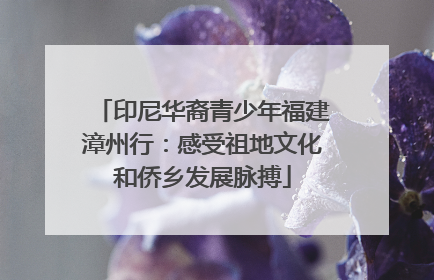 印尼华裔青少年福建漳州行：感受祖地文化和侨乡发展脉搏