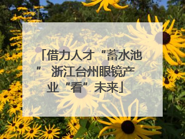 借力人才“蓄水池” 浙江台州眼镜产业“看”未来