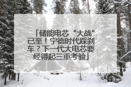 储能电芯“大战”已至！宁德时代踩刹车？下一代大电芯要经得起三重考验